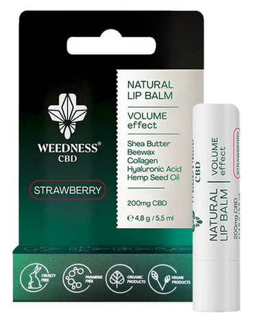Weedness 4% CBD Natural Lip Balm