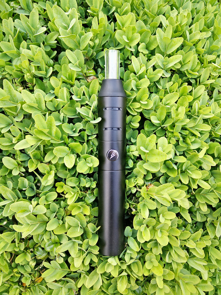 Storm Pen Vaporizer Buy Now Free Shipping | Puff Puff Palace Storm Pen Vaporizer Buy Now Free Shipping | Puff Puff Palace