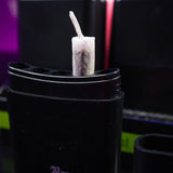 Black Leaf ''Joint Case'' 5-Slot Joint Holder - Pink