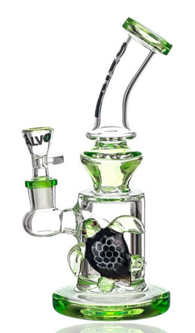 Calvo ''Turtle'' Percolator Bong