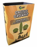 Global Herbs ''San Pedro'' Peyote Cactus Growkit