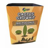 Global Herbs ''Trichocereus Macrogonus'' Peyote Cactus Growkit