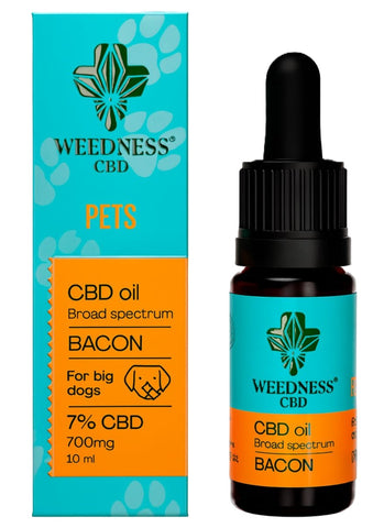 Weedness 7% CBD Oil for Big Dogs